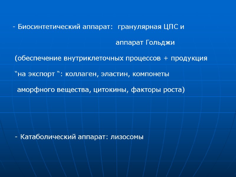 Биосинтетический аппарат:  гранулярная ЦПС и        